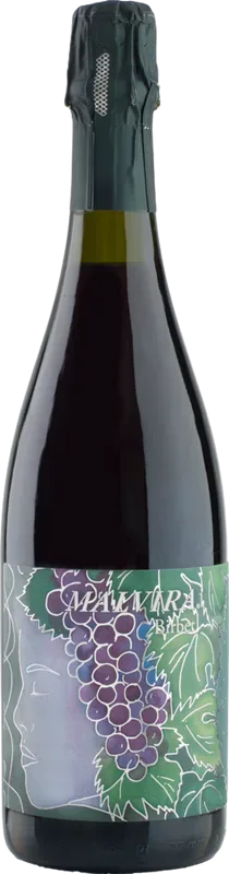 Birbet Brachetto Malvirà - Piemont, Italien