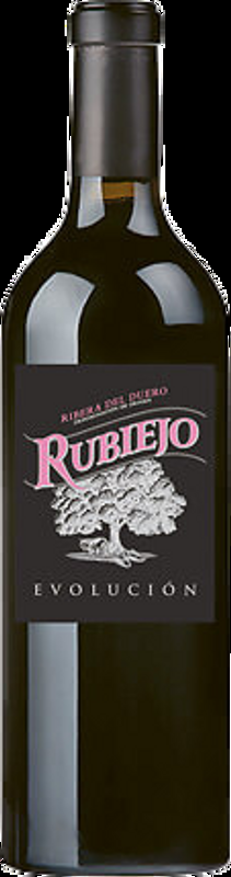 Ribera del Duero DO Evolucion Bodega Alto Sotillo - 2022 - Duero-Tal (Castilla y Leon), Spanien