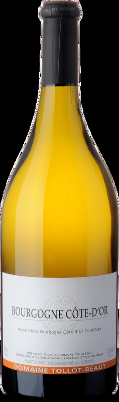 Bourgogne blanc Domaine Tollot-Beaut - 2024 - Burgund, Frankreich