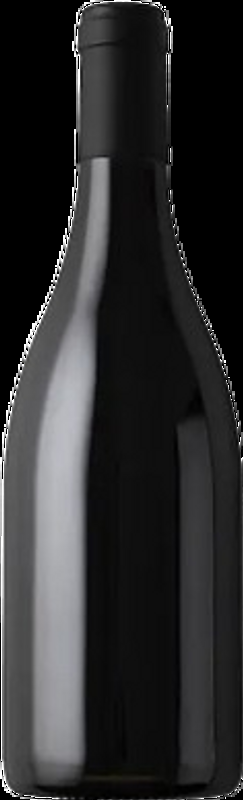 GS Cuvée Weingut Wellanschitz - 2023 - Burgenland, Österreich