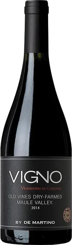 Carignan Vigno La Aguada Vineyard Valle del Maule DO De Martino - 2019 - Valle Central, Chile