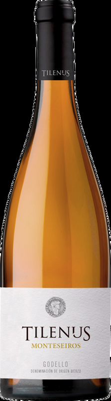 Tilenus Monteseiros Godello Bierzo DO Bodegas Estefania - 2022 - Spanien