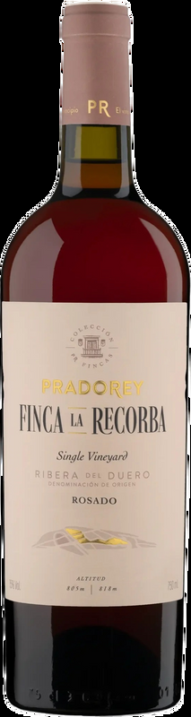 Real Sitio de Ventosilla Burgos  Pradorey Finca La Recorba Rosado Ribera del Duero - 2025  - Duero-Tal (Castilla y Leon), Spanien