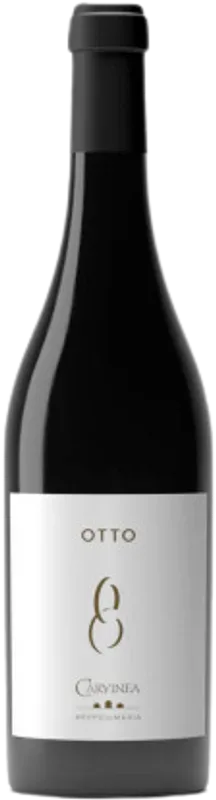 Otto IGP Salento Rosso Carvinea di Maria di Beppe - 2017 - Apulien, Italien