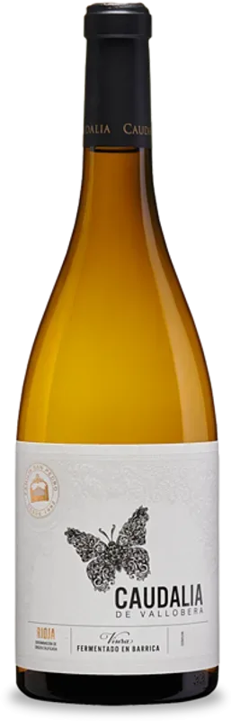 Vallobera Caudalia Rioja DOCa Bodega Vallobera - 2020 - Oberer Ebro, Spanien