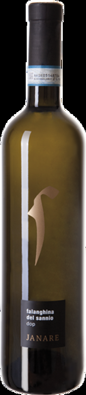 Falanghina del Sannio DOP alfabeto La Guardiense - 2024 - Kampanien, Italien