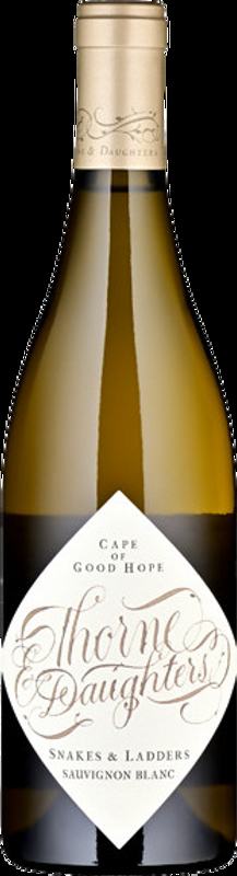 Snakes & Ladders Sauvignon Blanc Thorne & Daughters - 2023 - Südafrika