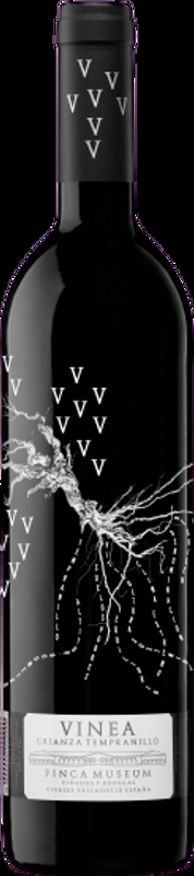 Cigales DO tinto Crianza Vinea Finca Museum - 2022 - Duero-Tal (Castilla y Leon), Spanien