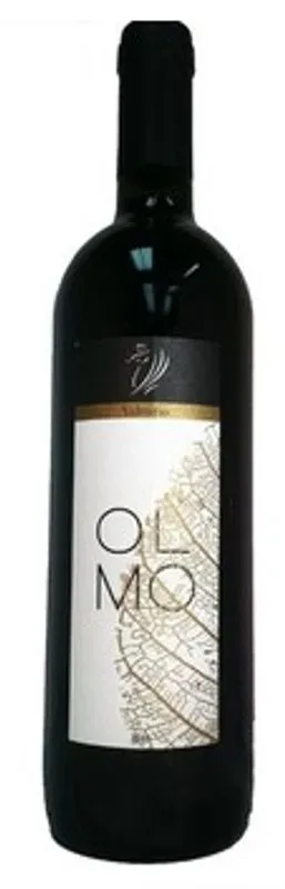 VALTURIO OLMO Igt. rosso Marche Valturio - 2009 - Marche, Italien