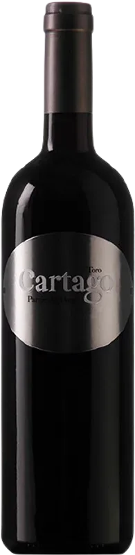 Cartago Paraje del Pozo Maurodos - 2017 - Duero-Tal (Castilla y Leon), Spanien