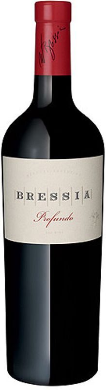 Profundo Bodega Bressia - 2019 - Mendoza, Argentinien