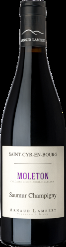 Moleton Saumur Champigny AOP Arnaud Lambert - 2021 - Loire, Frankreich