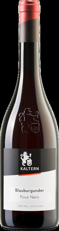 Pinot Nero Alto Adige DOC Kellerei Kaltern - 2024 - Südtirol, Italien