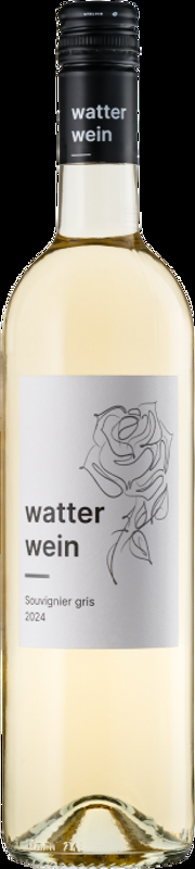Souvignier Gris AOC Zürich Landolt Weine - 2024 - Zürich, Schweiz