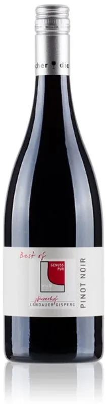 Pinot Noir Best of Winzerhof Landauer-Gisperg - 2020 - Thermenregion, Österreich