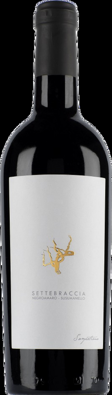 Settebraccia Salento IGP Cantina Sampietrana - 2021 - Apulien, Italien