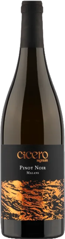 Cicero Signum Pinot Noir Malans AOC Graubünden Rutishauser-Divino - 2024 - Bündner Herrschaft, Schweiz