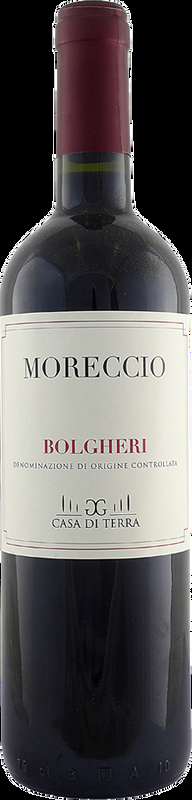 Moreccio Bolgheri Rosso DOC Fattoria Casa di Terra - 2024 - Toskana, Italien