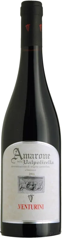 Amarone della Valpolicella DOCG Venturini Massimino - 2020 - Veneto, Italien