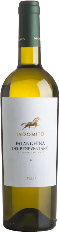 Indomito Falanghina del Benevento IGT Cantine Francesco Minini - 2024 - Kampanien, Italien