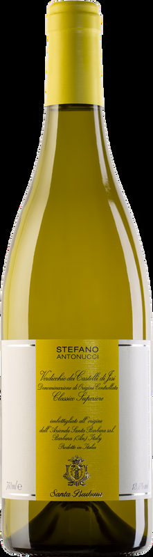 Stefano Antonucci Bianco Castelli di Jesi DOC Santa Barbara - 2023 - Marche, Italien