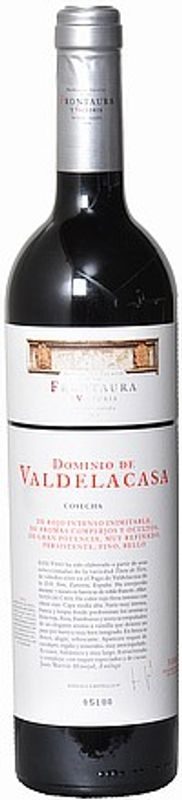 Toro DO Dominio de Valdelacasa Bodegas Frontaura y Victoria - 2019 - Duero-Tal (Castilla y Leon), Spanien