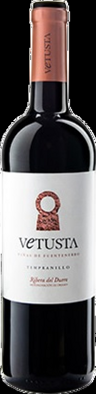 Vinas De Fuentenebro Vetusta DO Ribera del Duero Vinedos La Dehasa - 2021 - Duero-Tal (Castilla y Leon), Spanien