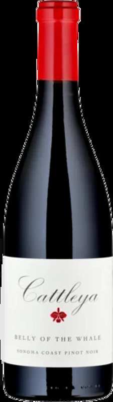 Pinot Noir Belly of the Whale Sonoma Coast Cattleya Wines - 2021 - Kalifornien, USA