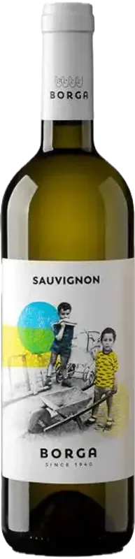 Sauvignon Blanc Trevenezie IGT Cantine Borga - 2024 - Veneto, Italien
