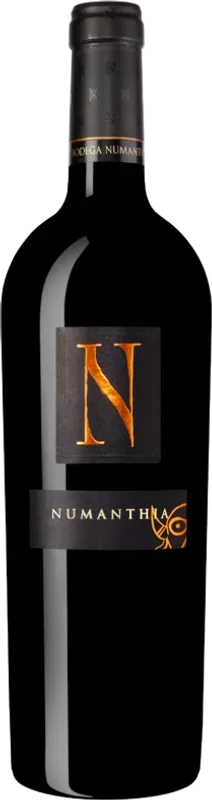 Bodega Numanthia Numanthia - 2019 - Duero-Tal (Castilla y Leon), Spanien