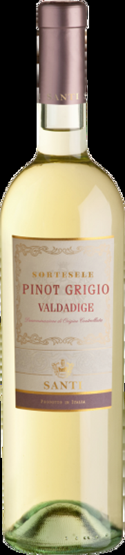 Pinot Grigio Valdadige DOC Sortesele Santi Santi - 2024 - Veneto, Italien