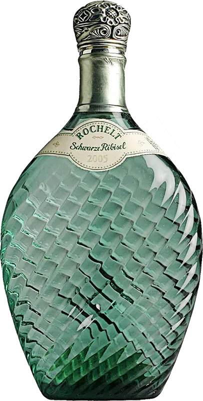 Schwarze Ribisel Johannisbeere Rochelt - Tirol, Österreich