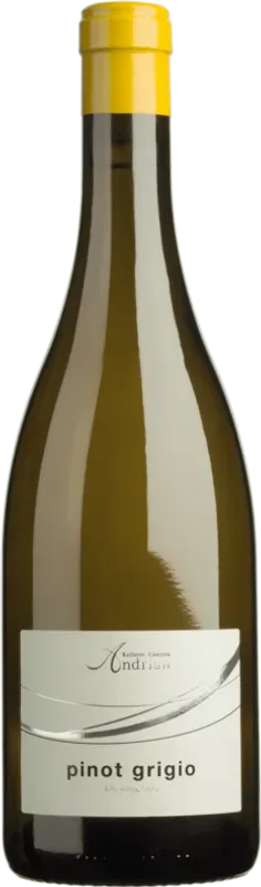 Pinot Grigio DOC Kellerei Andrian - 2025 - Südtirol, Italien