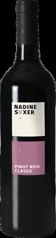 Pinot Noir Classic Weingut Nadine Saxer - 2024 - Zürich, Schweiz