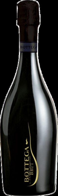 Prosecco Treviso DOC Brut Bottega - 2025 - Veneto, Italien