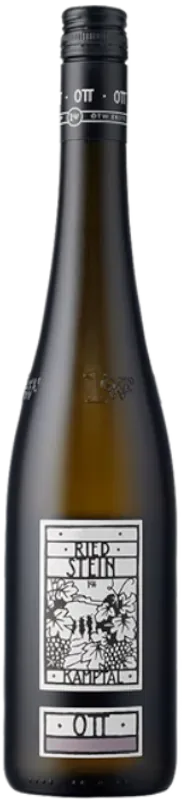 Grüner Veltliner Ried Stein Kamptal DAC Bernhard Ott - 2022 - Niederösterreich, Österreich