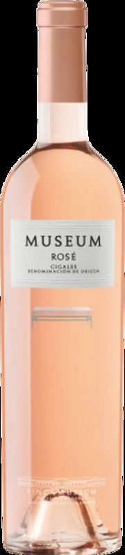 Museum Rosé Cigales DO Finca Museum - 2025 - Duero-Tal (Castilla y Leon), Spanien