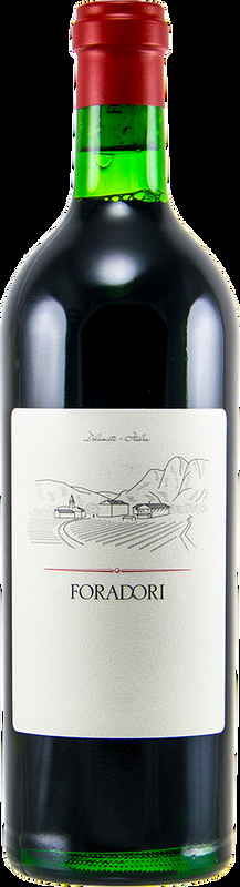 Foradori Teroldego Vigneti delle Dolomiti IGT Foradori - 2020 - Trentino, Italien