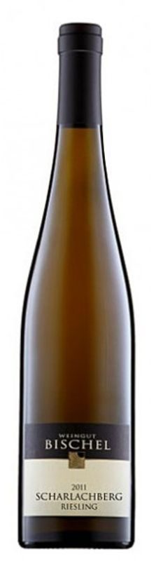 Riesling trocken Binger Scharlachberg QbA Weingut Bischel - 2023 - Rheintal, Deutschland
