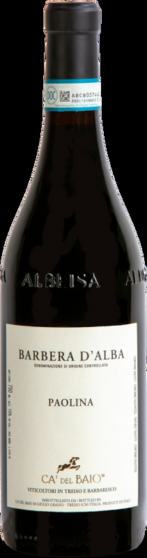 Barbera d'Alba Paolina DOC Cà del Baio di Giulio Grasso - 2023 - Piemont, Italien
