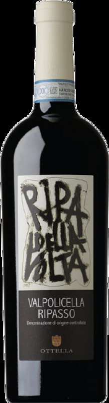 Valpolicella DOC Ottella - 2019 - Veneto, Italien