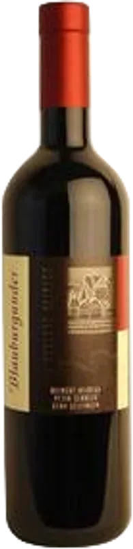 Heidegger Blauburgunder AOC Weingut Heidegg - 2024 - Luzern, Schweiz