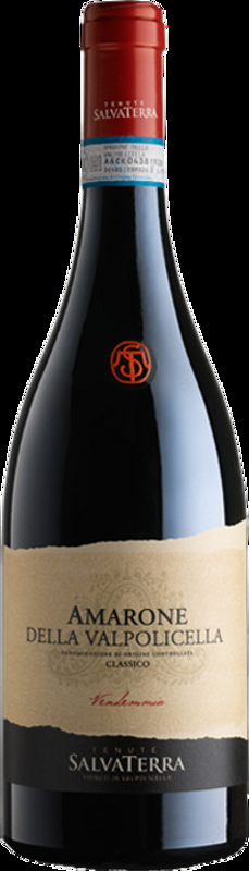 Amarone della Valpolicella DOCG Tenuta SalvaTerra - 2017 - Veneto, Italien