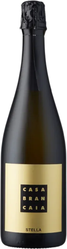 Stella V.S.Q. Brancaia - Toskana, Italien