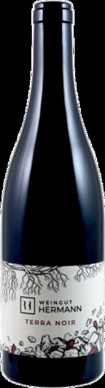 Terra Noir Fläsch AOC Weingut Roman Hermann - 2023 - Bündner Herrschaft, Schweiz