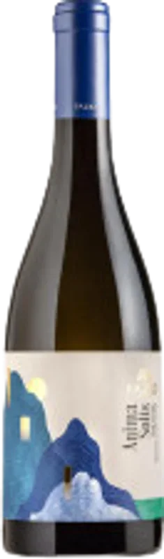 Erice DOC Anima Solis Bianco Casa Vinicola Fazio - 2023 - Sizilien, Italien