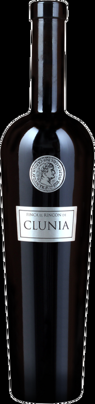 Clunia Finca El Rincon Clunia - 2019 - Duero-Tal (Castilla y Leon), Spanien