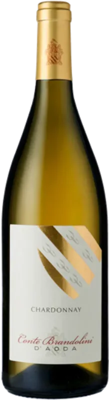 Chardonnay Friuli DOC Brandolini - 2023 - Friaul, Italien