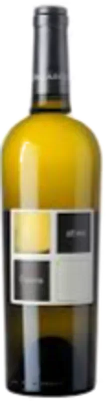 attimo Sauvignon blanc Cantina Paladin - 2024 - Veneto, Italien