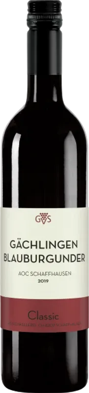 Gachlinger Blauburgunder GVS Schachenmann - 2023 - Schaffhausen, Schweiz